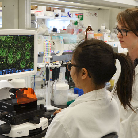  lab - 2015